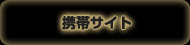 携帯サイト
