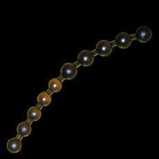 アナル・ビーズ/10ボール