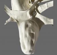 男性用/貞操帯付きベルト・ハーネス■キャンバス地