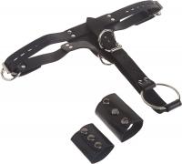 プレミアムレザー■男性用コックリング付きアナルハーネス