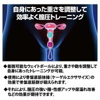 ケーゲル・エクセサイザー/膣トレーニングキット
