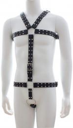 男性用/ベルト・ハーネス
