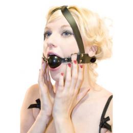 フェイス・ハーネス/ボールギャグ