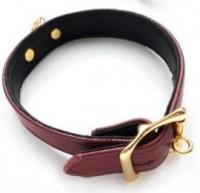 Signature Collection■カラー(首輪)