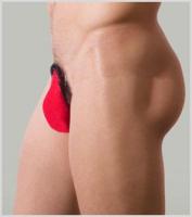 Cストリング/パンティ