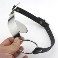 ステンレスギャグ