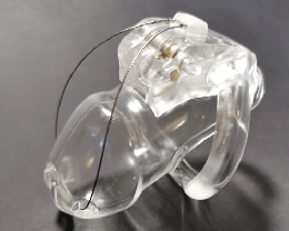 男性用貞操帯/HolyTrainer V3◆Prince Albert