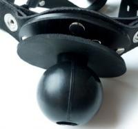 ハーネス・カバーギャグ/リング付き