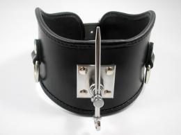 拘束首輪・ピン付き