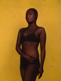 全身タイツ/透けタイプ