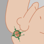 ホール・スプレッダー/サークル■拡張!