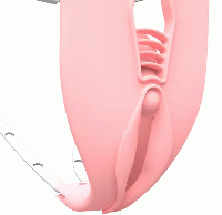 男性用/貞操帯ベルト■内部チューブ・女性化タイプ■Resin