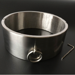 ステンレス製首輪/ヘビー■6cm・4cmタイプ