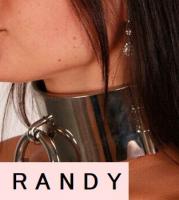 ステンレス製首輪/ヘビー■6cm・4cmタイプ